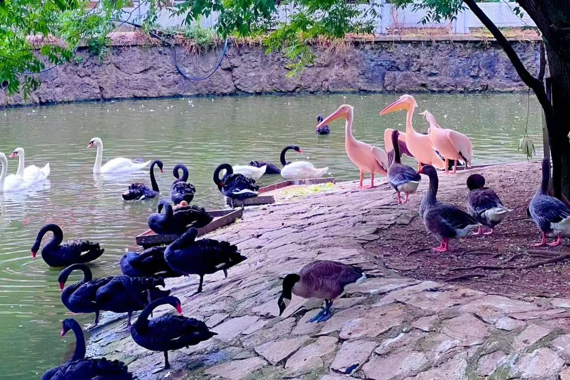 Qianling Mountain Park